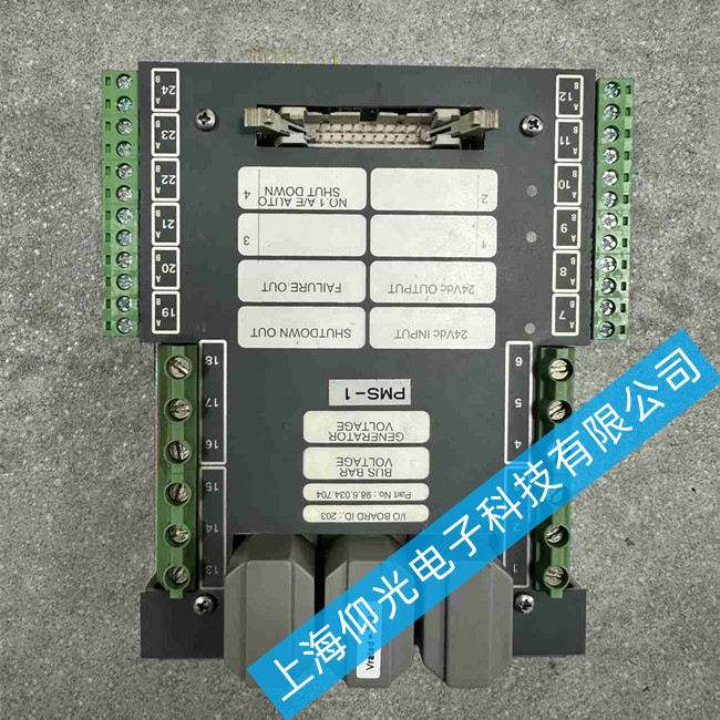 TERASAKICœOy̖ɼģKS24diģK98.6.032.702S